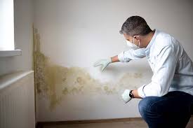 Best Air Quality Testing for Mold Spores  in Taylorsville, KY